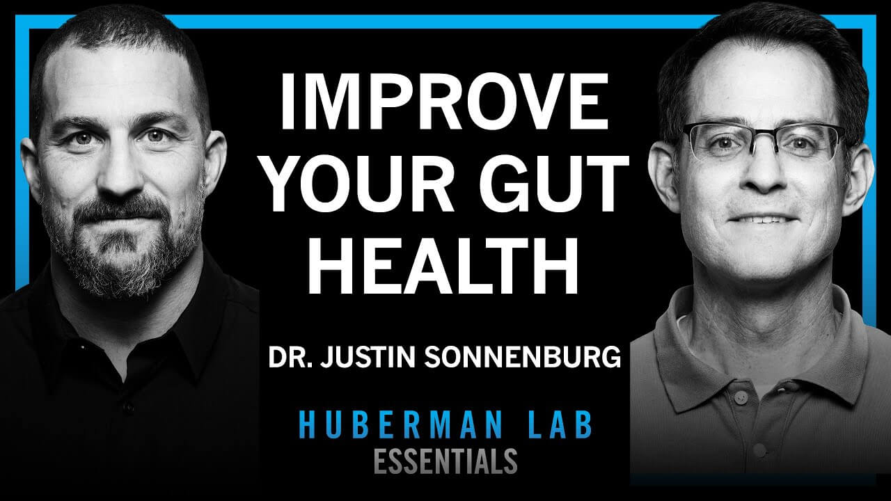 Dr. Andrew Huberman and Dr. Justin Sonnenburg discuss gut health on Huberman Lab podcast